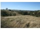 Dungog NSW 2420