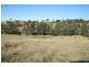 Dungog NSW 2420