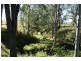 Dungog NSW 2420