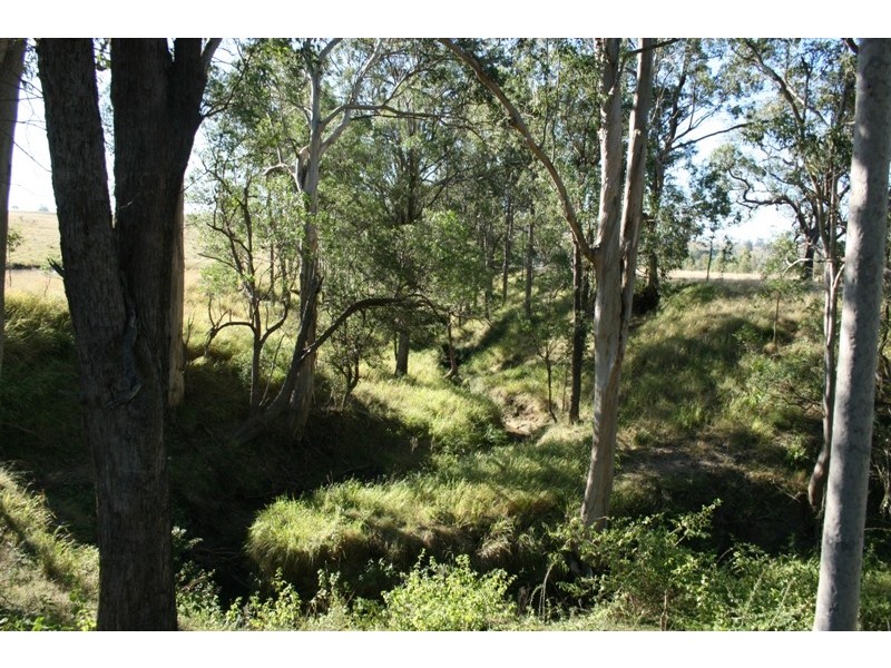 Dungog NSW 2420