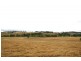 222 Hanleys Creek Road, Dungog NSW 2420