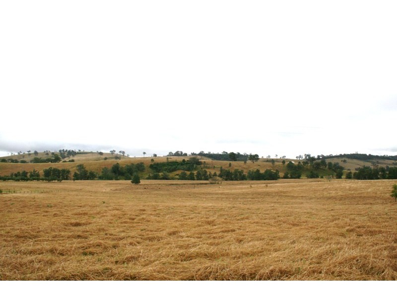 222 Hanleys Creek Road, Dungog NSW 2420