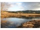 222 Hanleys Creek Road, Dungog NSW 2420