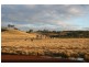 222. Hanleys Creek Road, Dungog NSW 2420