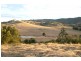 222. Hanleys Creek Road, Dungog NSW 2420