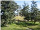 Gresford NSW 2311