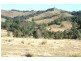 Dungog NSW 2420