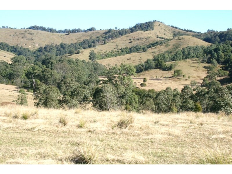 Dungog NSW 2420