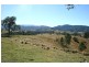 Dungog NSW 2420