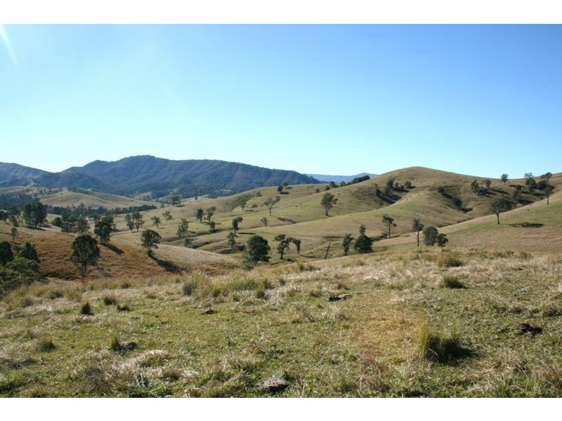 Dungog NSW 2420