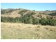 Dungog NSW 2420