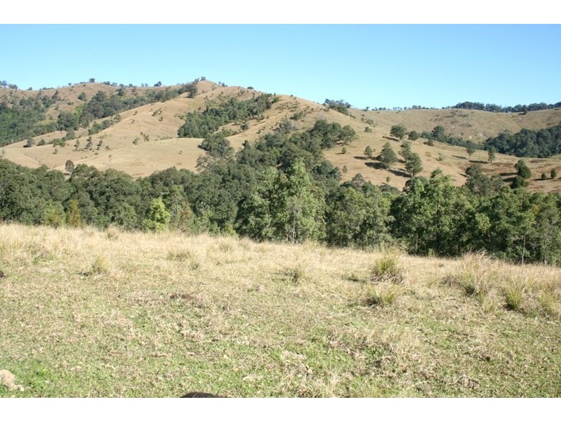Dungog NSW 2420