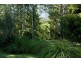 Dungog NSW 2420