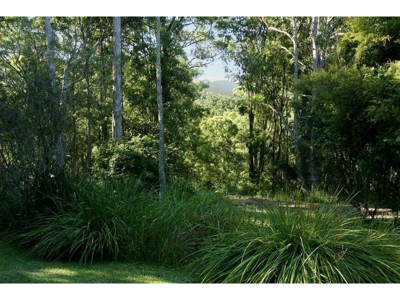 Dungog NSW 2420