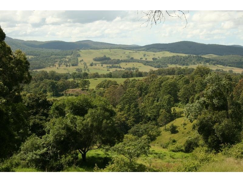 25 Brewers Lane, Dungog NSW 2420