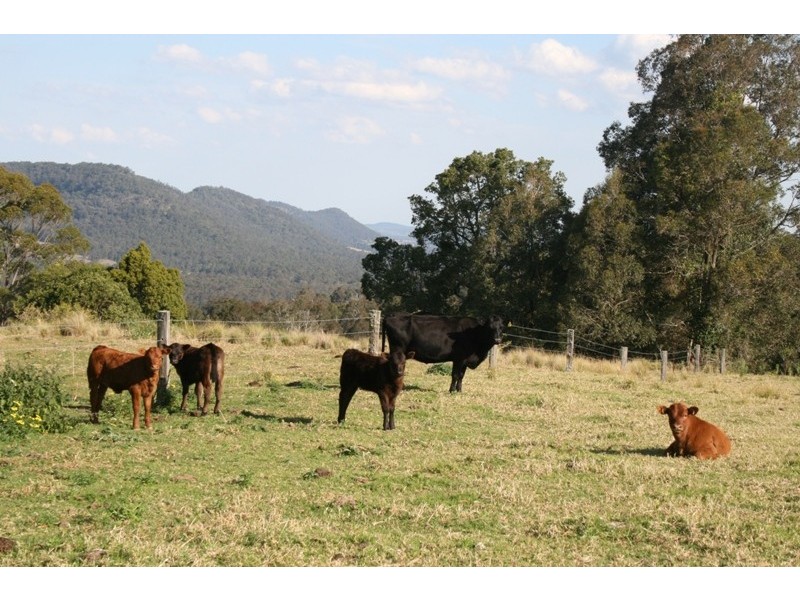 25 Brewers Lane, Dungog NSW 2420