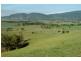 Gresford NSW 2311