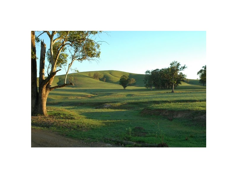 Gresford NSW 2311