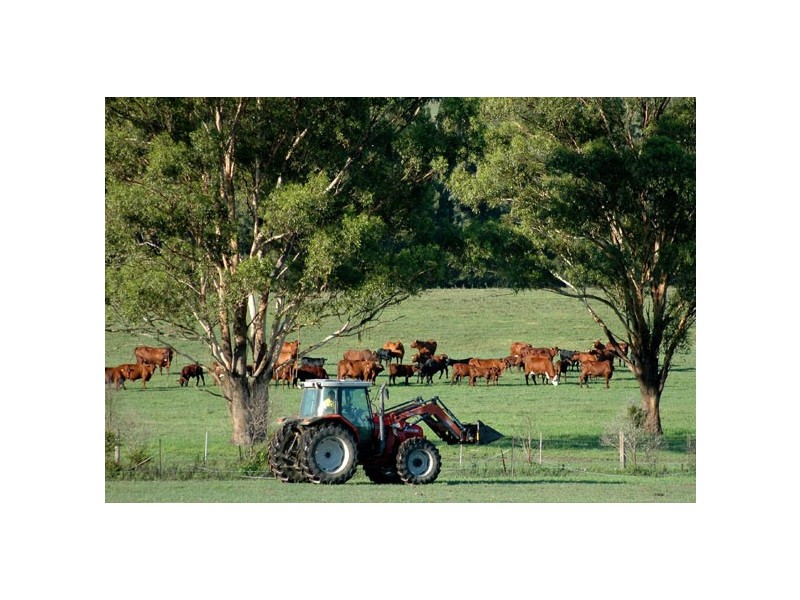 Gresford NSW 2311