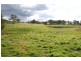 Lot 213 Allyn River Road, East Gresford NSW 2311
