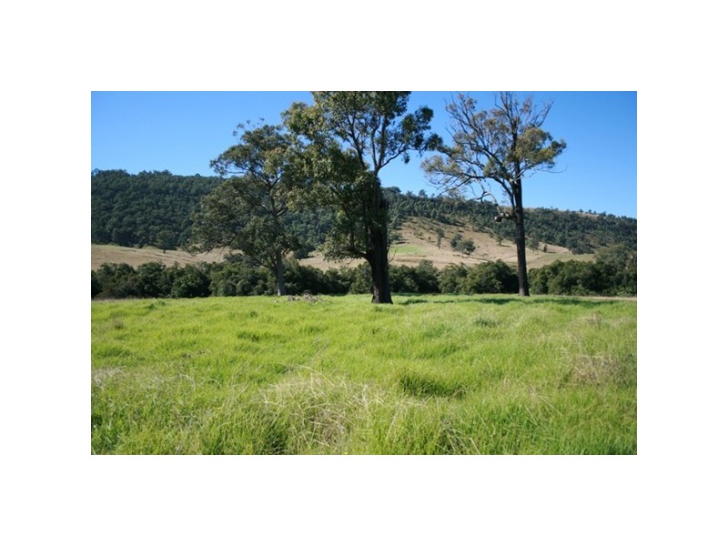 Lot 2, 450 Chichester Dam Road, Dungog NSW 2420