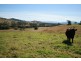 Lot 2, 450 Chichester Dam Road, Dungog NSW 2420