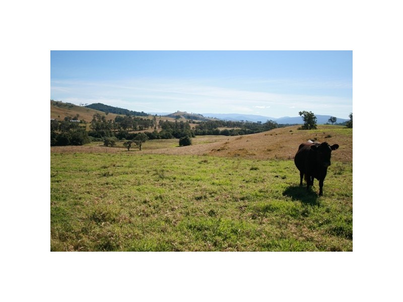 Lot 2, 450 Chichester Dam Road, Dungog NSW 2420