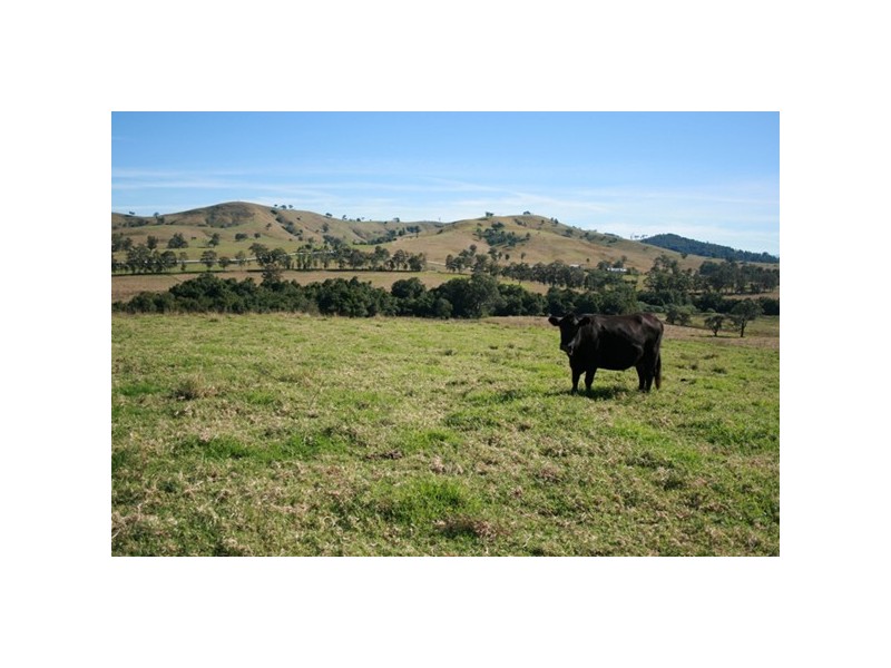 Lot 2, 450 Chichester Dam Road, Dungog NSW 2420