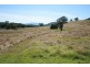 Lot 2, 450 Chichester Dam Road, Dungog NSW 2420