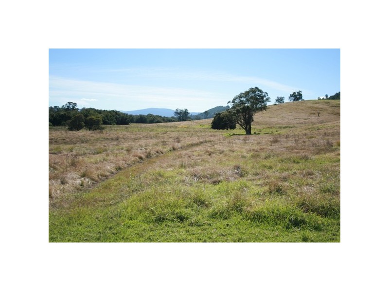 Lot 2, 450 Chichester Dam Road, Dungog NSW 2420