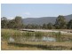 Paterson NSW 2421