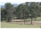 Paterson NSW 2421