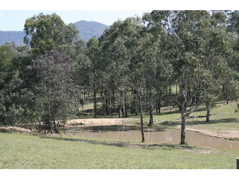 Paterson NSW 2421