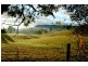 Clarence Town NSW 2321