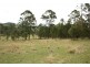 Lot 1 Black Camp Road, Stroud NSW 2425