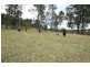 Lot 1 Black Camp Road, Stroud NSW 2425