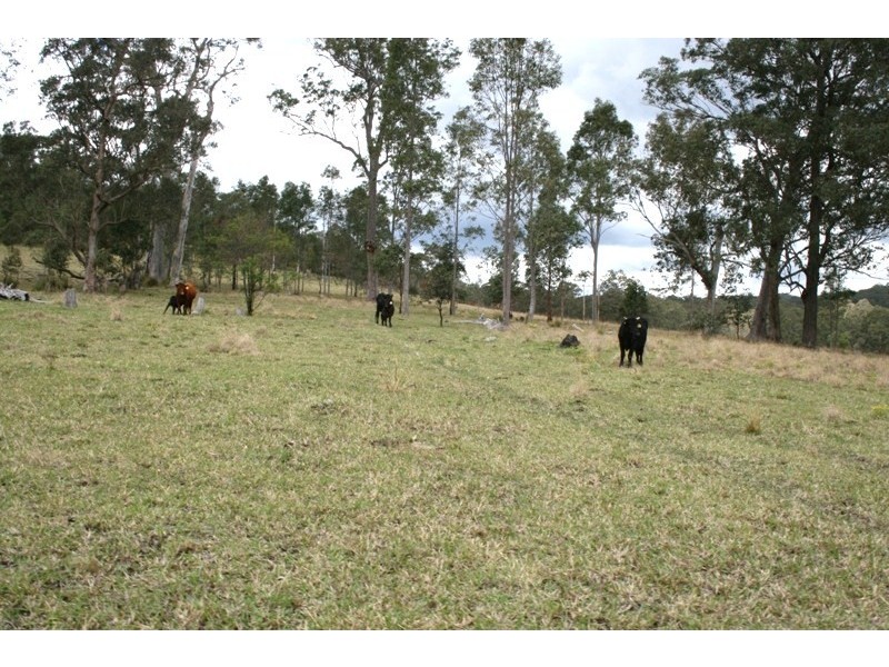 Lot 1 Black Camp Road, Stroud NSW 2425