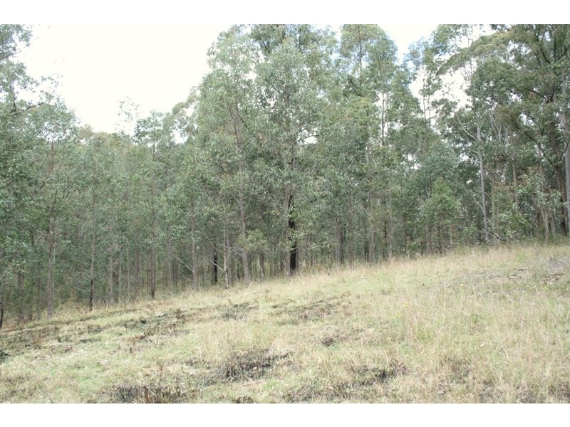 Lot 2 Black Camp Road, Stroud NSW 2425