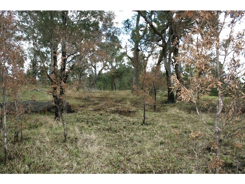 Lot 2 Black Camp Road, Stroud NSW 2425