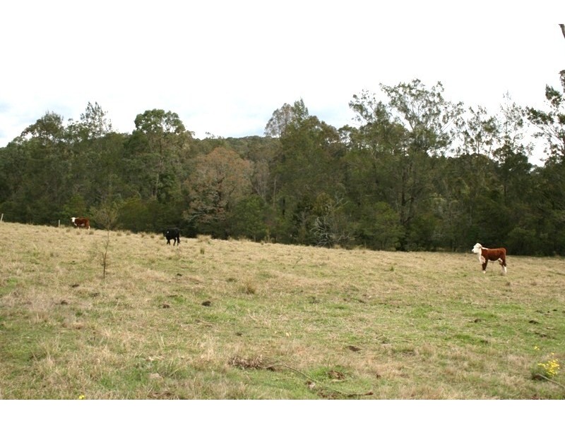 Lot 5 Black Camp Road, Stroud NSW 2425