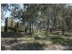 3455 Clarence Town Road, Dungog NSW 2420