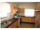 63 Mackay Street, Dungog NSW 2420