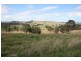 4515 Clarence Town Road, Dungog NSW 2420