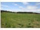 4515 Clarence Town Road, Dungog NSW 2420