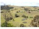 Dungog NSW 2420