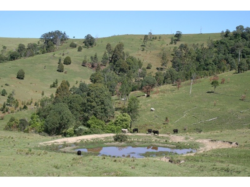 Lot 473 Germons Road, Dungog NSW 2420