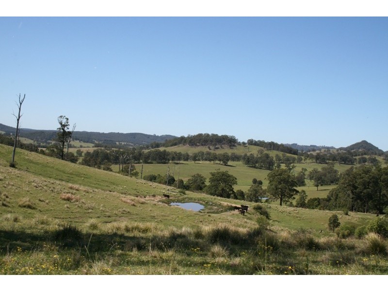 Lot 473 Germons Road, Dungog NSW 2420