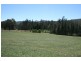 Dungog NSW 2420