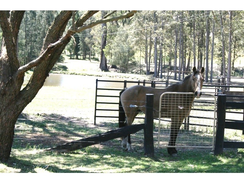 Dungog NSW 2420