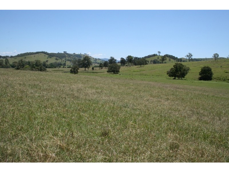 Dungog NSW 2420